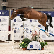 17-dsc-3801-fullscreen.jpeg