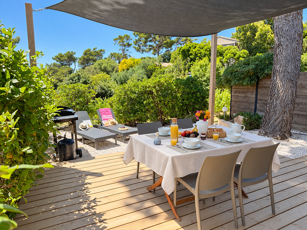 Terrasse vue vignes