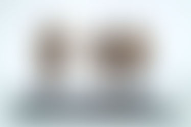 SCHAÁR ERZSÉBET SZUVERENITÁSA