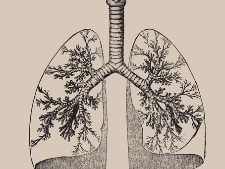 Asthma bronchiale und Selbstheilung - Kann man mit Kräutermedizin den Kreislauf der Medikamenteneinnahme beenden?