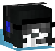 skinmc-avatar (1).png