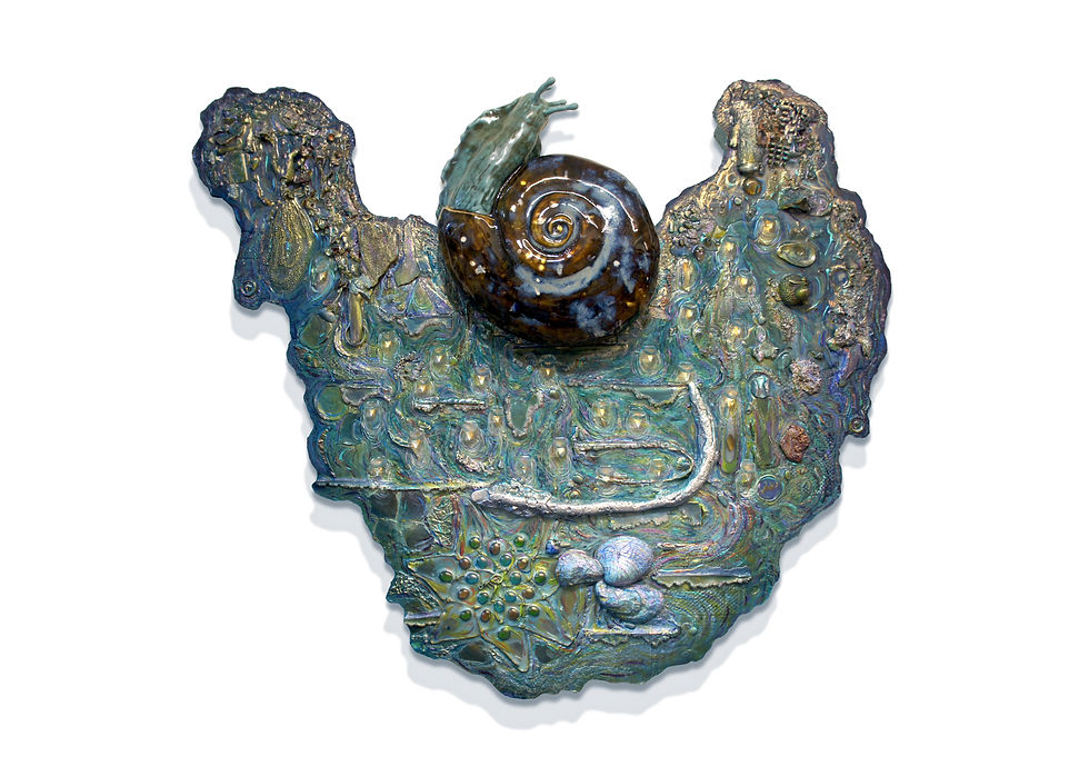 Star Studded Snail