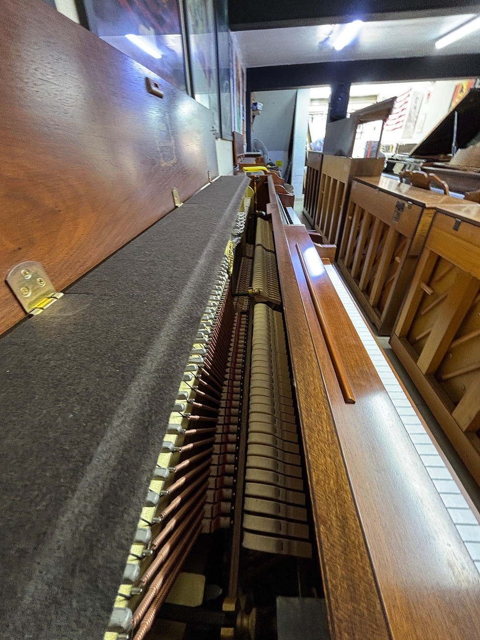 Miniatura: Yamaha P22 Vertical