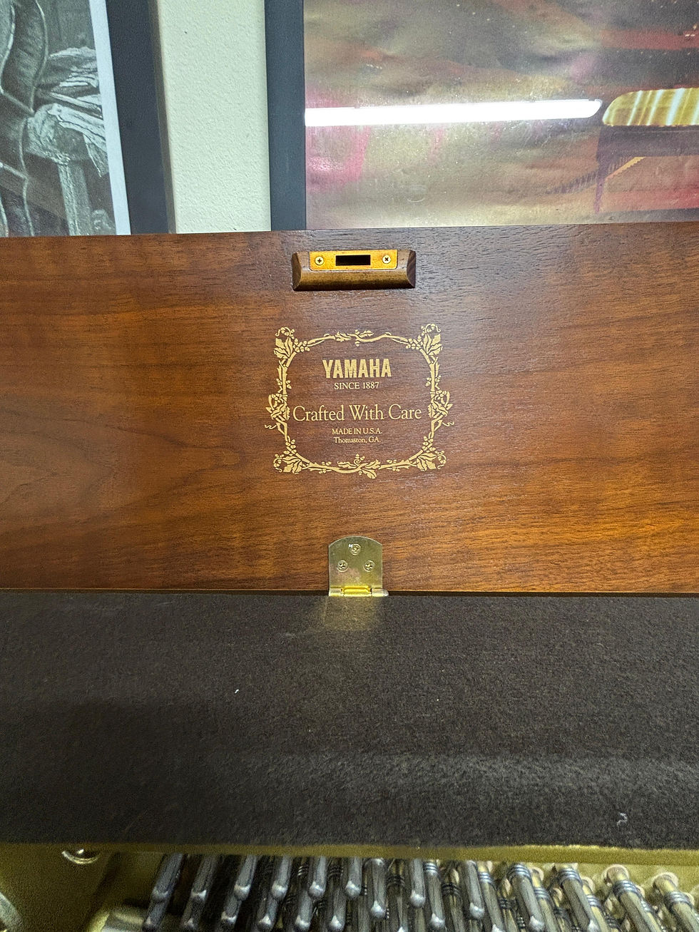 Miniatura: Yamaha P22 Vertical