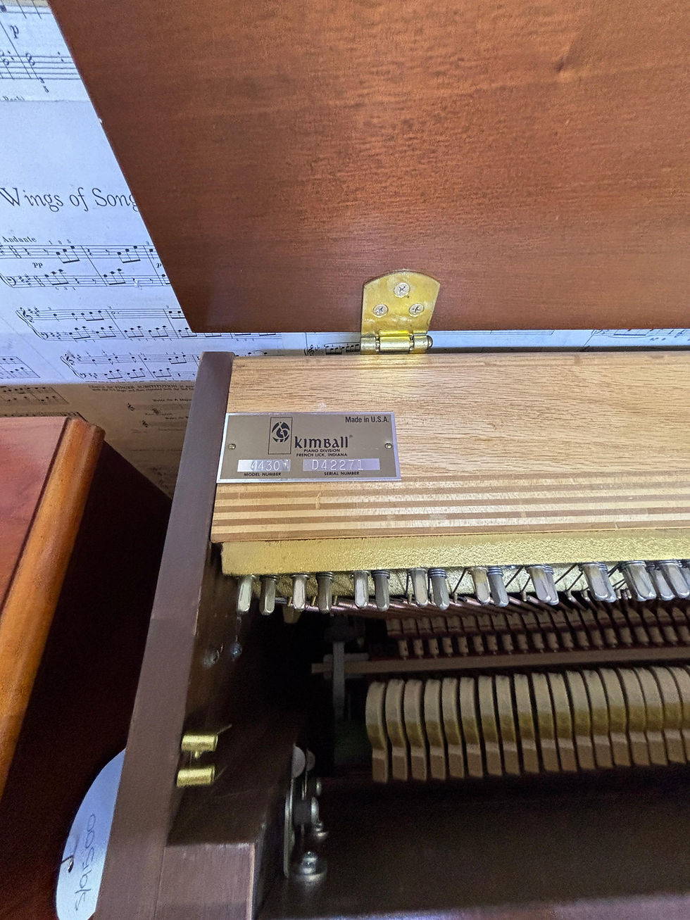 Miniatura: Kimball Estudio