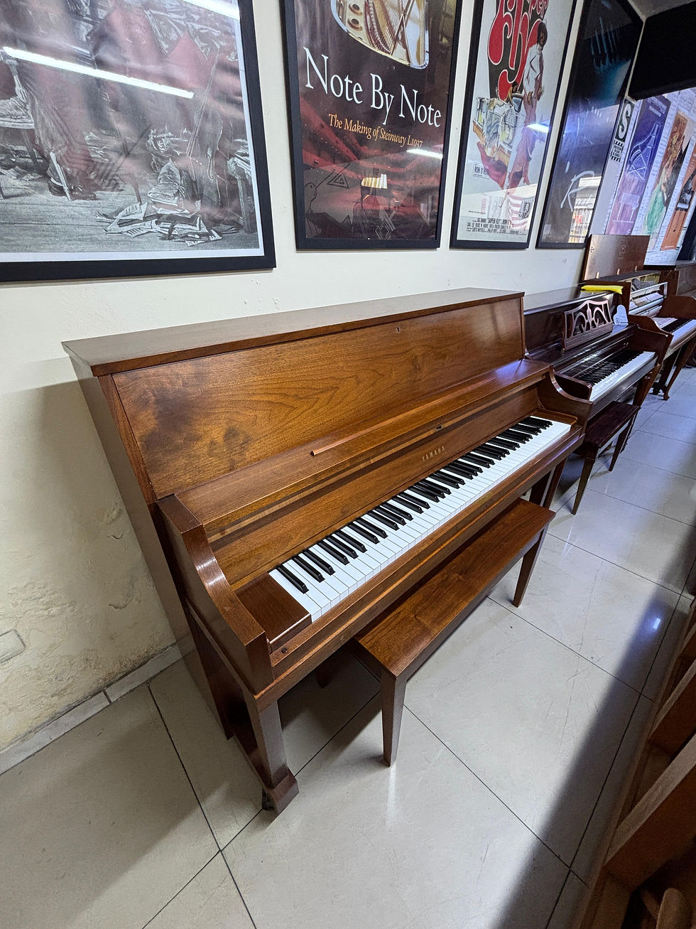 Miniatura: Yamaha P22 Vertical