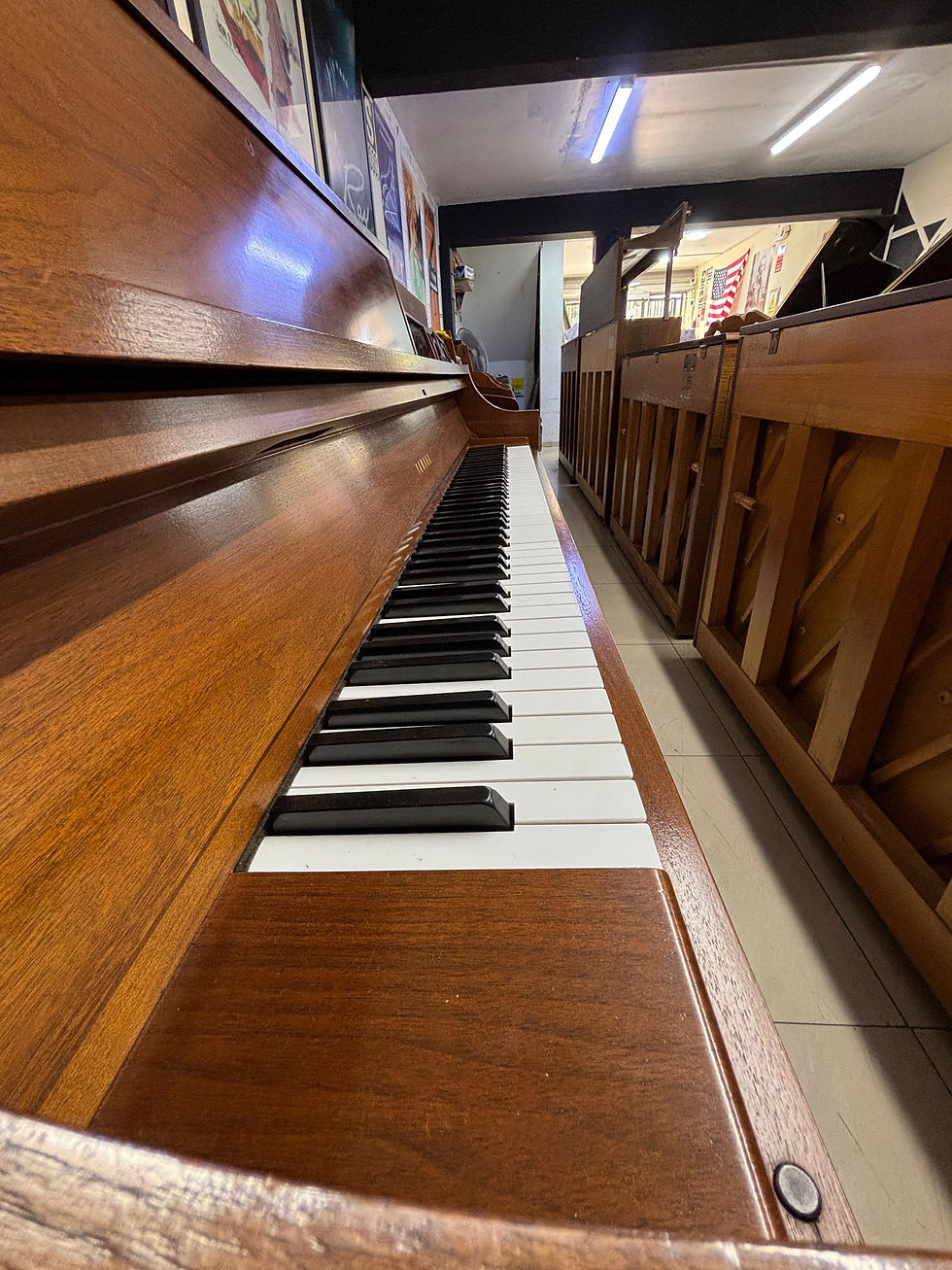 Miniatura: Yamaha P22 Vertical