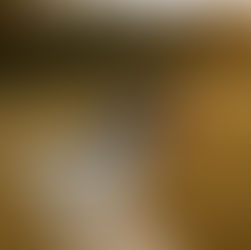 Kaylee & Zach | Wedding