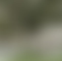 Becca & Nick | Bella & Cosa