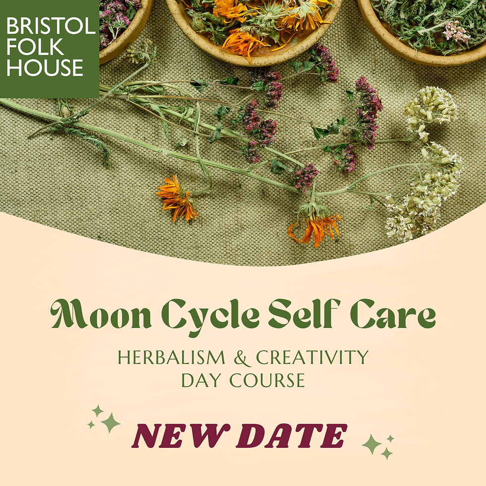 Moon Cycle Self-Care: Herbalism & Creativity