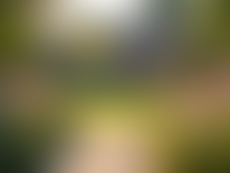 The Critical Role of Strong Relationships in Ensuring Compliance in Long Term Care Management