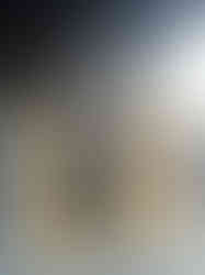 dfgdg01-06 at 10.13.15