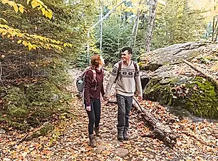 Stress & Lifestyle Tips.webp