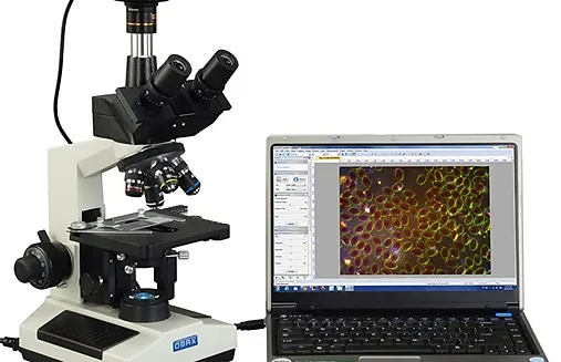 Microscope.webp