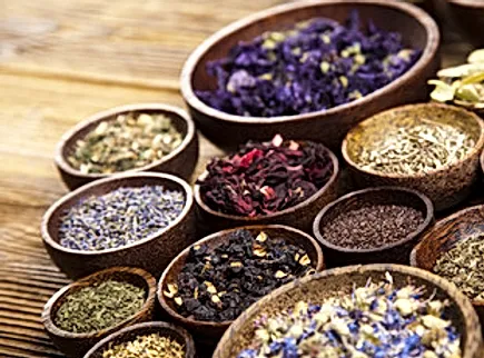 herbal medicine.webp