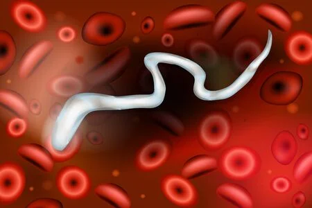 Parasite Test.webp