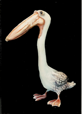 Paper mache dodo bird