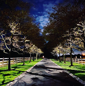 Moonlighting Effect Kichler.JPG