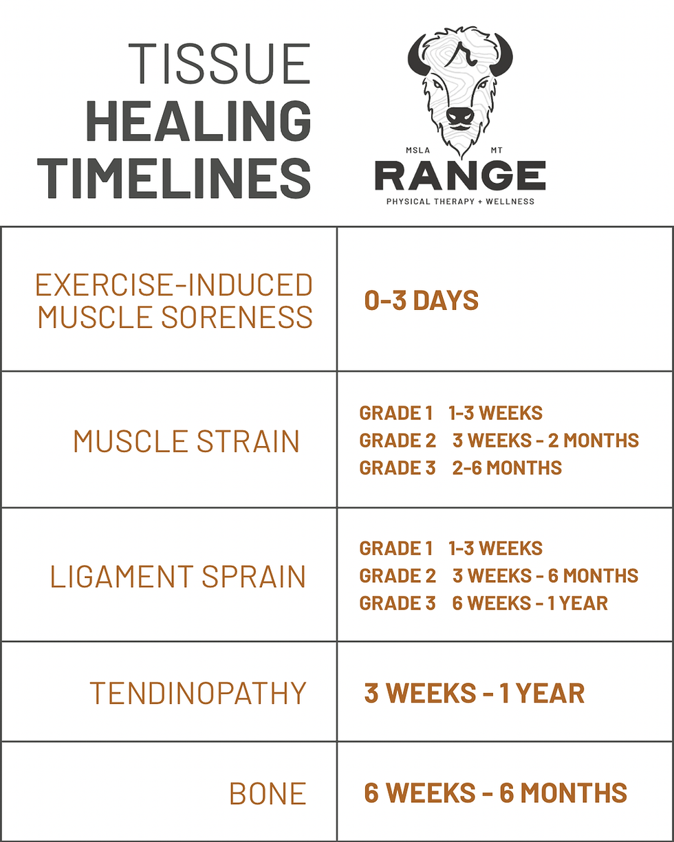 Injury and Healing