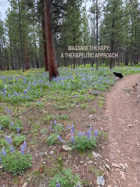 Massage therapy