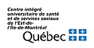 CEMTL logo rectangle.png