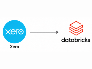 Custom xero to databricks lakeflow connector