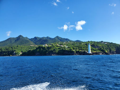 Découvrez les spots de plongée à Basse-Terre