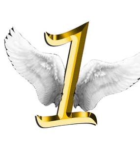 Lawyer, Pilot, Police Officer, Traditional & Holistic health practioners, Inventors, Designers, Producers, Promotors - **sales and acting but as long as you learn not to take criticism or rejection personally