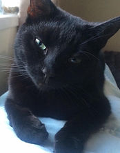 cleo.jpeg