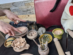 Black cat watching pottery class
