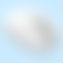 Best Wireless Mouse under INR 500 | Portronics Wireless Mouse