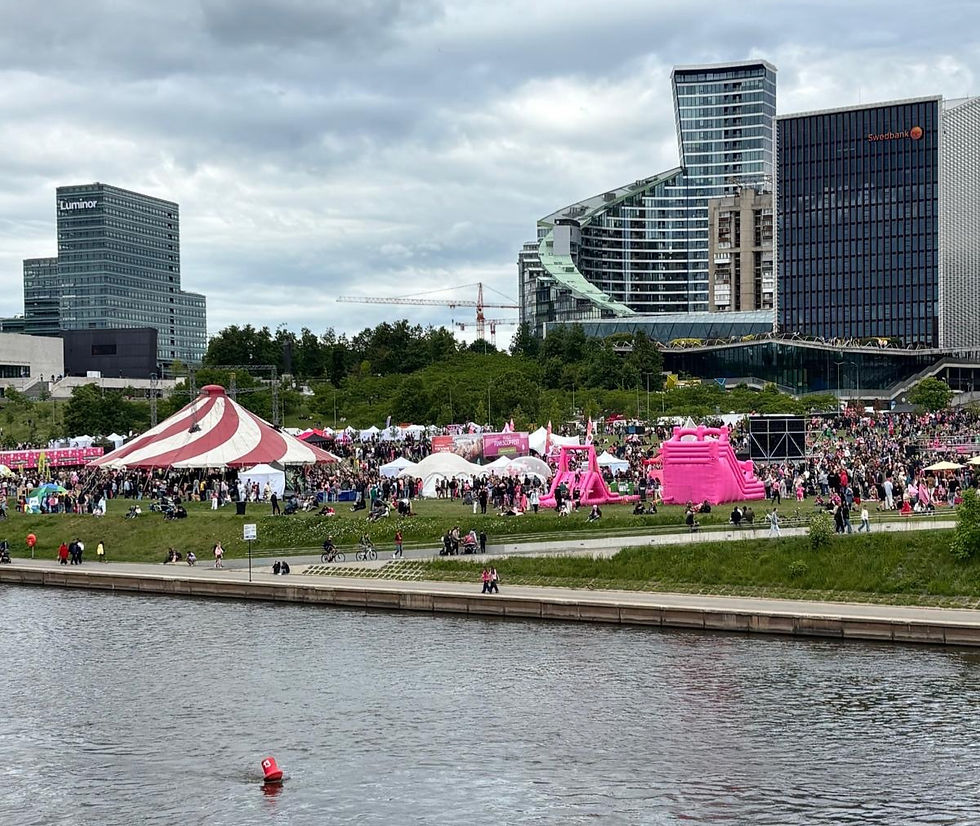 Vilnius cityscape during the Pink Soup Festival, with pink installations and crowds along the river, backdrop to the AIMS International EMEA 2026 meeting