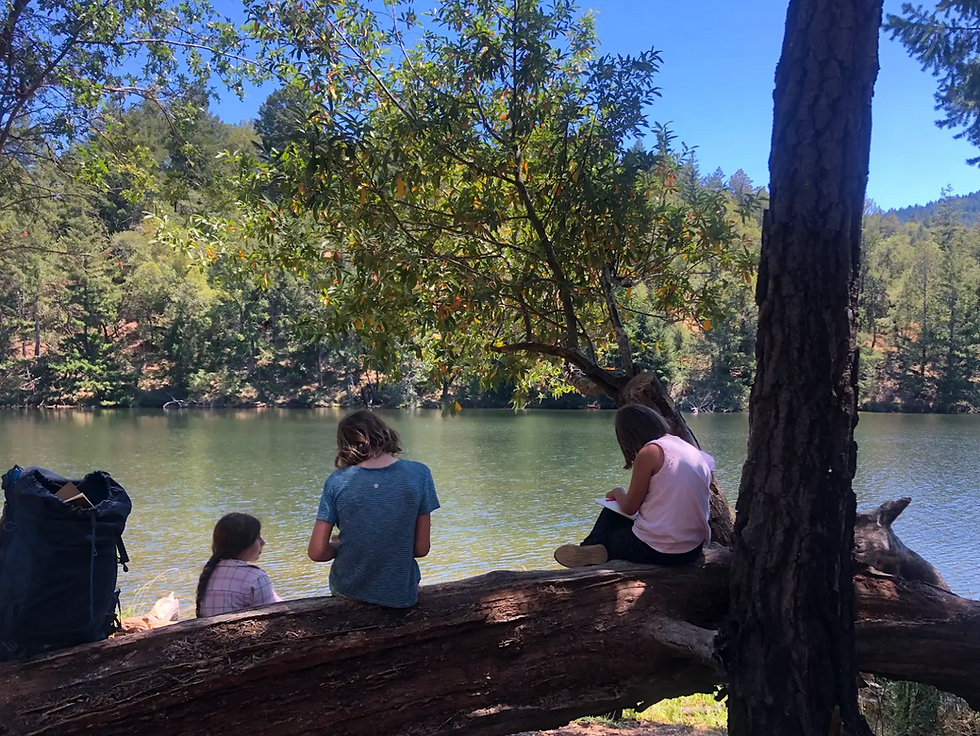 Forest School Shadow Day - 1st to 4th Graders