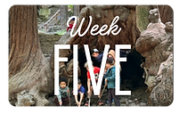 Location Summer Camp 2026 (6).png