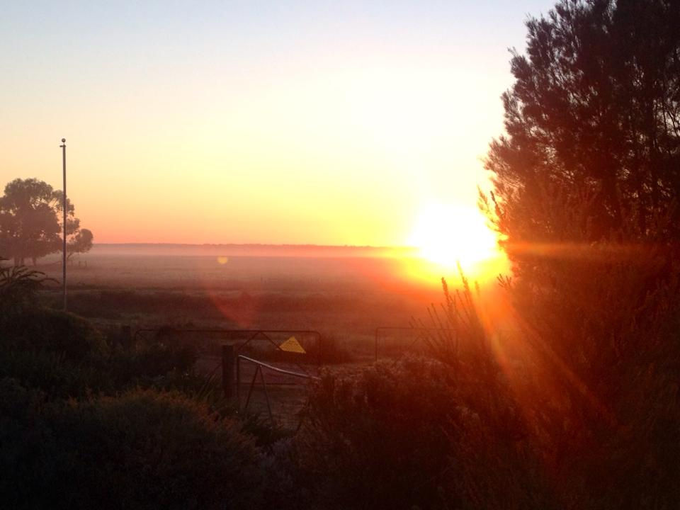 Sunrise walks