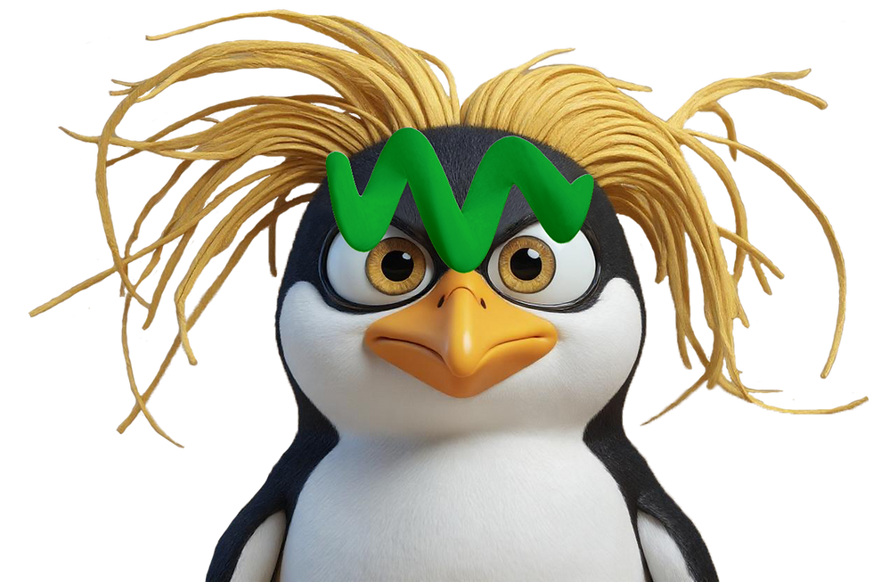 MemeBerret4B.png