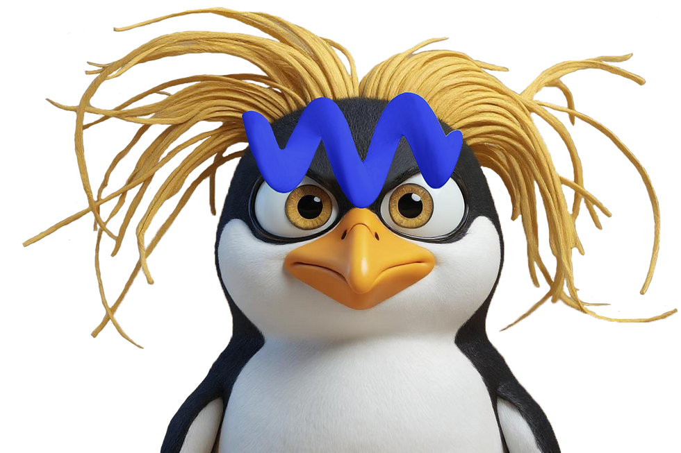 MemeBerret5B.png