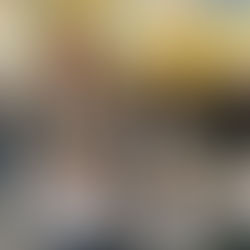 Неделя английского языка в школе «Морфосис»