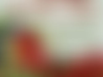 Торжественная линейка, посвященная Дню Знаний, состоится 3 сентября 2018 года в 8 часов!