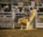 cowboycross_bull2_edited.jpg