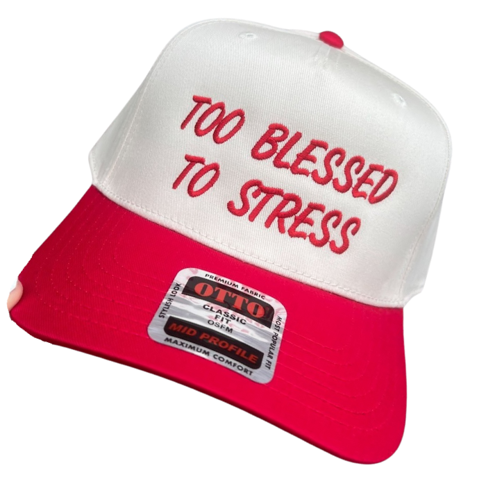 2 blessed 2 be stressed embroidered hat