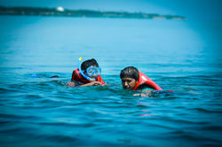 Snorkelling