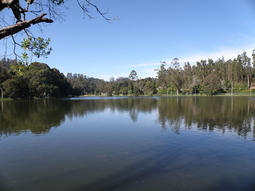 P4160188.JPG