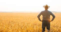 farmer-with-hat-on-his-head-in-the-wheat