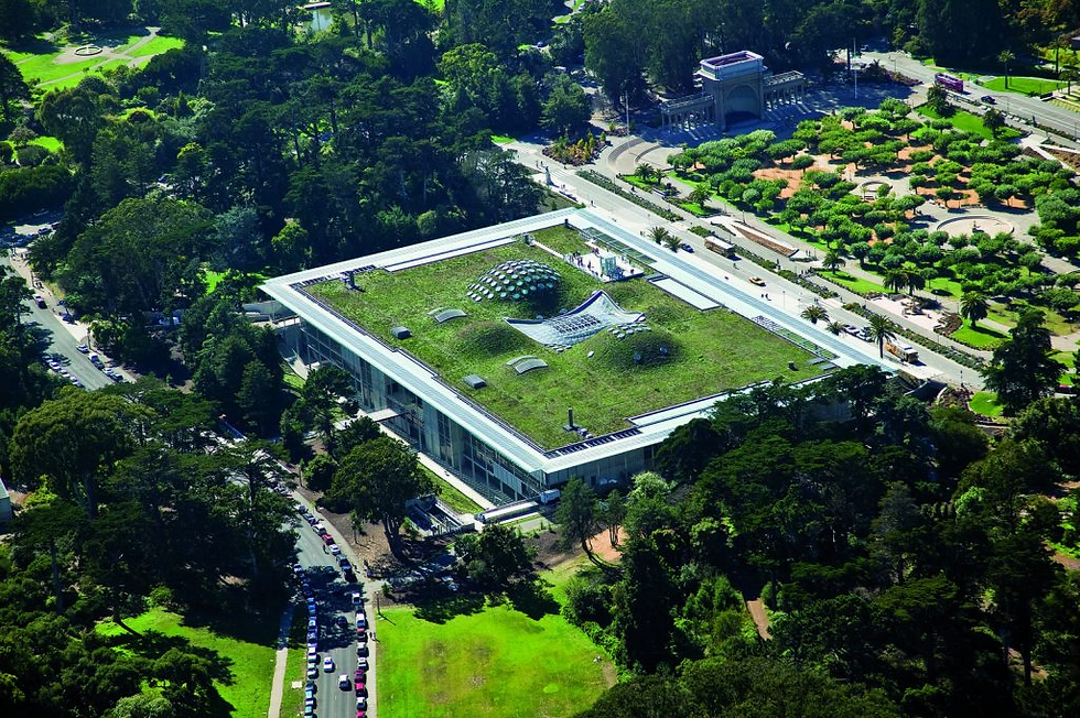 ¿Qué es la arquitectura verde?
