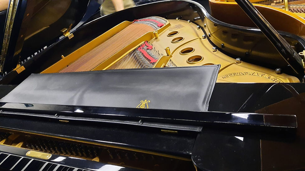 縮圖：Steinway & Sons