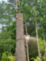 Southern Pro Clearing & Grading Tree Removal