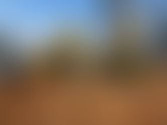 Excavating Services | Ball Ground, GA