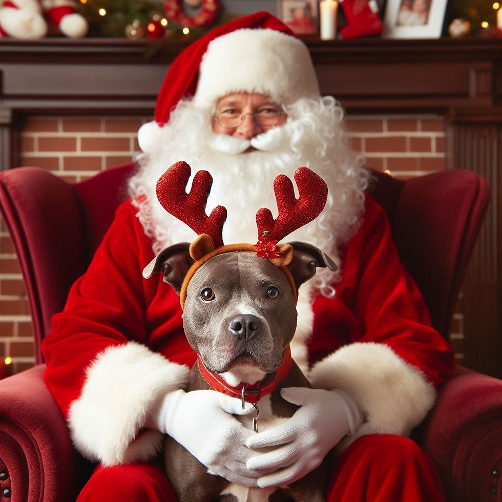 Santa in red suit sits with a dog wearing reindeer antlers. They're in front of a festive, decorated fireplace, exuding holiday cheer.