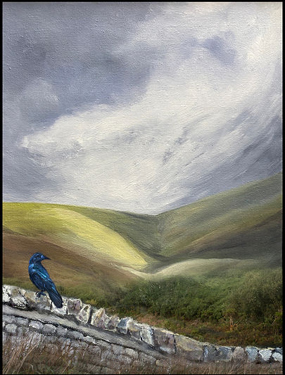 The Crow's Valley website.jpg